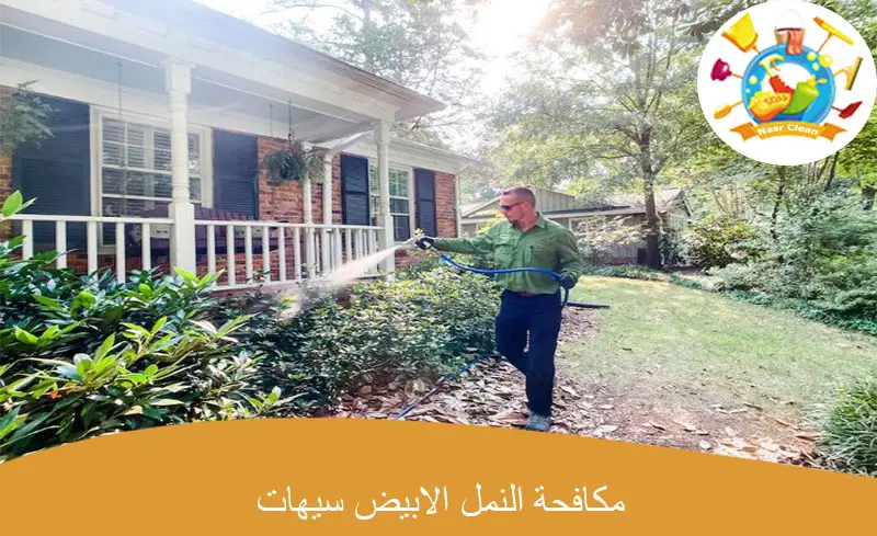 مكافحة النمل الابيض سيهات
