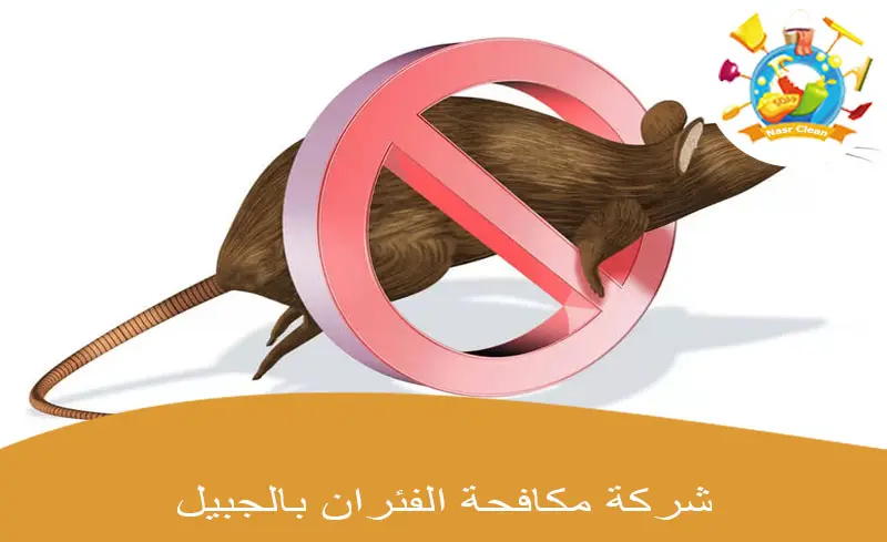 شركة مكافحة الفئران بالجبيل 