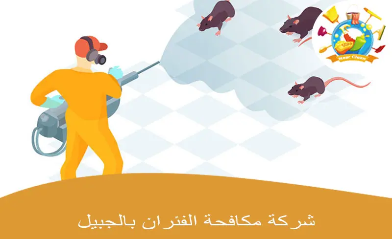 شركة مكافحة الفئران بالجبيل